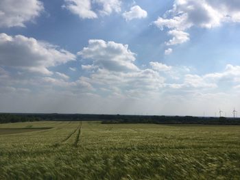 Scenic view of agricultural field against sky