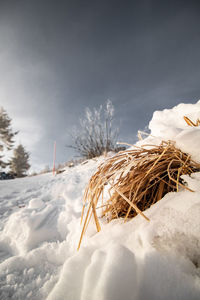 Snow covered field against sky