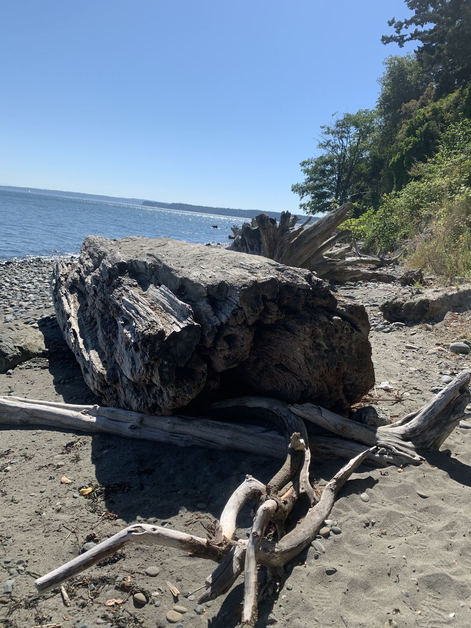 nature, tree, plant, day, no people, sunlight, rock, outdoors, land, adventure, sky, tree trunk, trunk, beauty in nature, water, tranquility, clear sky