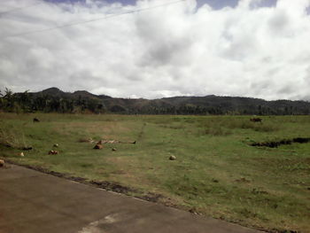 Scenic view of landscape against sky