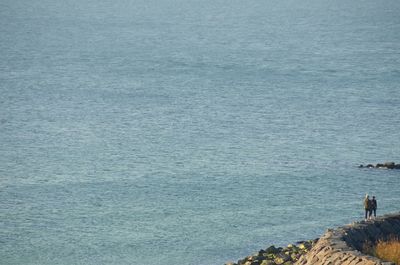 View of people in sea