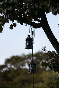 Low angle view of cross hanging on tree against sky