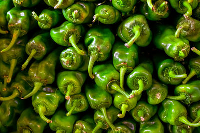 Fresh green pepper at vegetable market