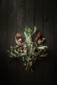 High angle view of potted plant on table