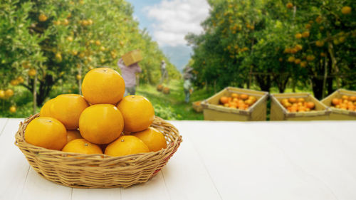 Close-up of fruits in basket