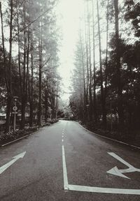 Road amidst trees in forest