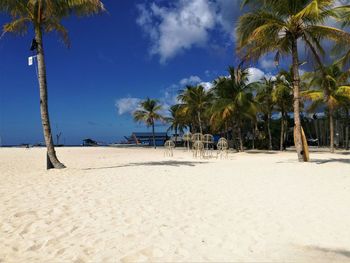 Palm trees on beach against sky