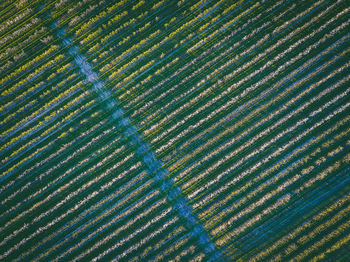 Full frame shot of agricultural field