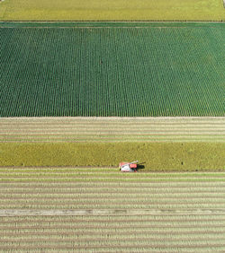 High angle view of tractor on field