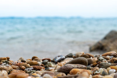 Close-up of stones on beach