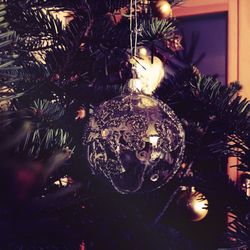 Close-up of illuminated christmas lights