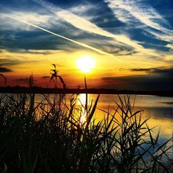 Scenic view of lake at sunset