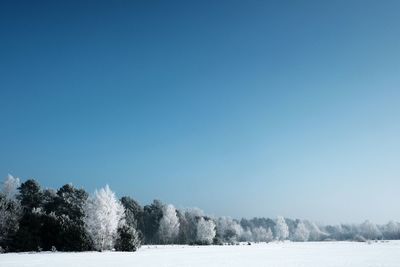 Scenic view of snowcapped field against clear blue sky