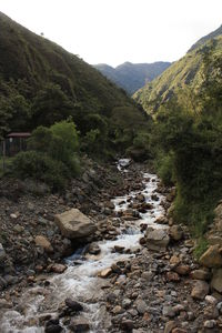 Scenic view of agricultural landscape against sky
