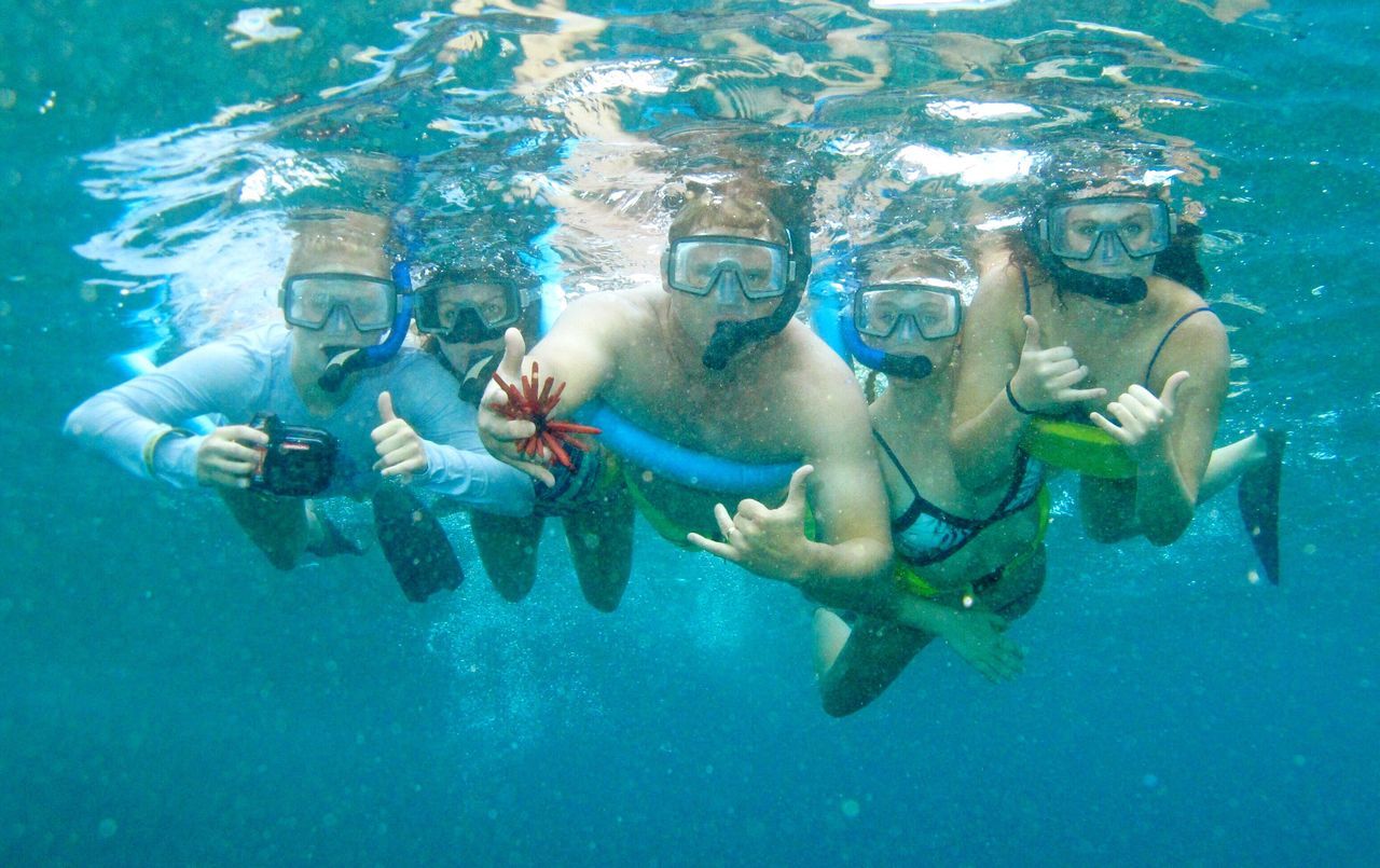 blue, underwater, water, swimming, undersea, fish, sea life, animal themes, sea, leisure activity, high angle view, lifestyles, swimming pool, full length, transparent, scuba diving, turquoise colored, shirtless