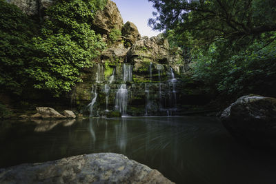 Scenic view of waterfall in forest