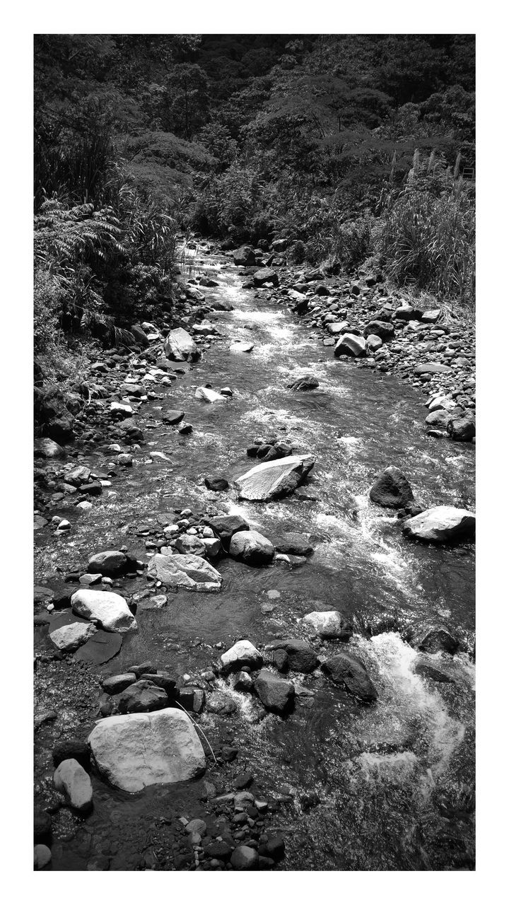 transfer print, water, auto post production filter, tranquility, nature, tranquil scene, scenics, beauty in nature, rock - object, stream, grass, outdoors, day, high angle view, no people, stone - object, stone, non urban scene, rippled, river