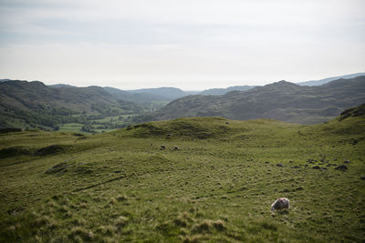 Scenic view of landscape and mountains against sky