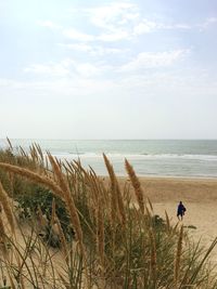 Rear view of man walking at beach against sky