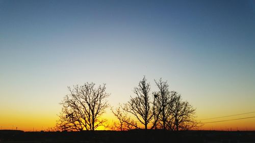 Bare trees on landscape at sunset