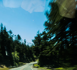 Road amidst trees against sky