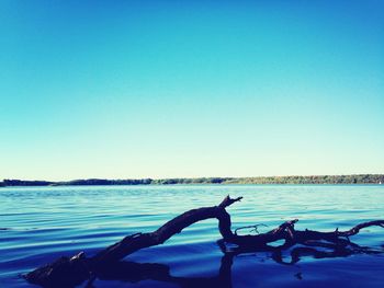 Scenic view of calm sea against clear sky