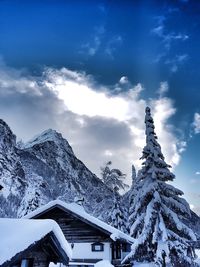 Snow covered trees and buildings against sky