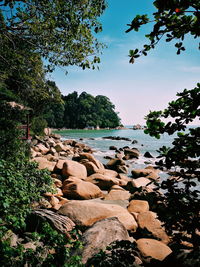 Rocks by river in forest against sky