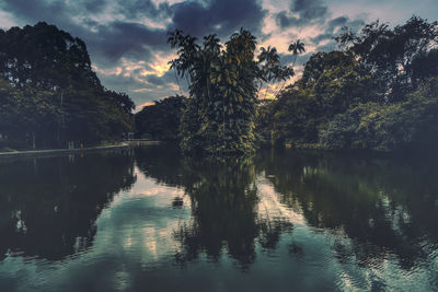 Trees by lake against sky
