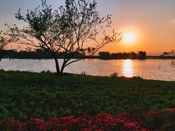 Sunset over lake