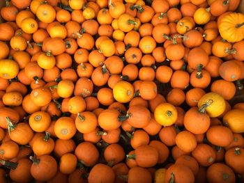 Full frame shot of pumpkins at market