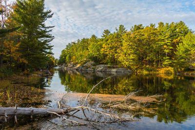 Scenic view of lake in forest against sky