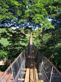 Footbridge over trees