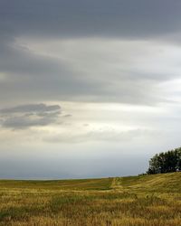 Scenic view of field against sky