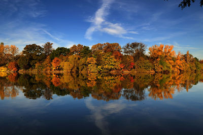 Autumn trees by lake against sky
