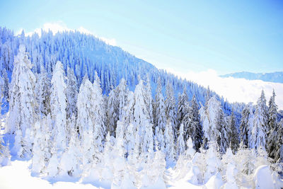 Scenic view of snow covered mountains against sky