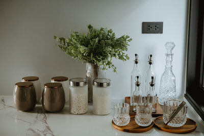 Potted plant on table against wall