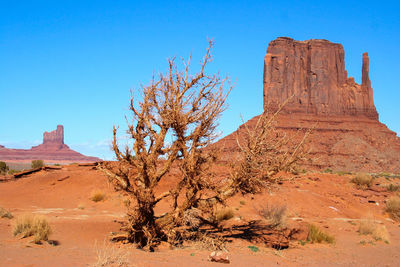 View at monument valley/usa