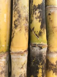 Close-up of bananas in market