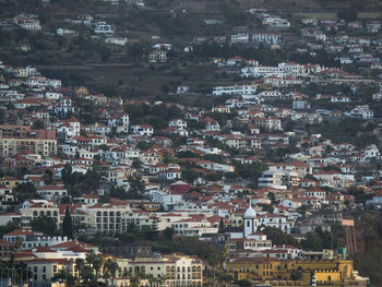 Funcha on the island of madeira