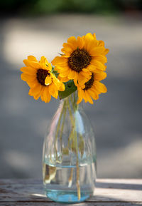 Close-up of sunflower in glass vase