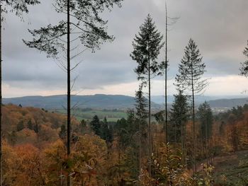 Scenic view of trees and mountains against sky