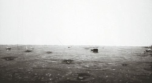 Reflection of trees in water