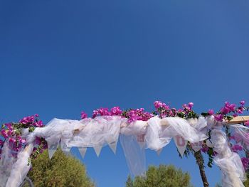 Low angle view of flower trees against clear blue sky