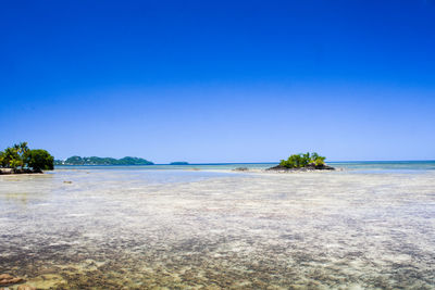 Scenic view of sea against clear blue sky