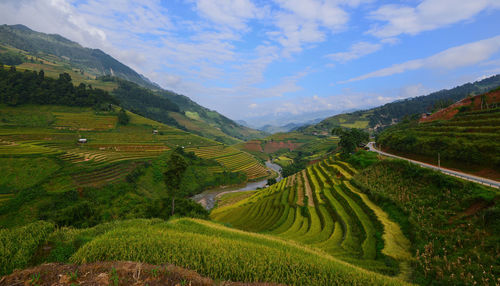 Scenic view of agricultural field against sky