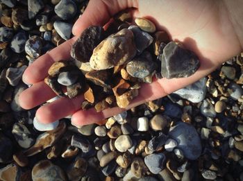 High angle view of person holding pebbles