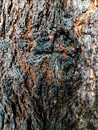 Full frame shot of tree trunk