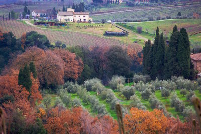 High angle view of trees and buildings on field