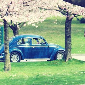 View of car on field